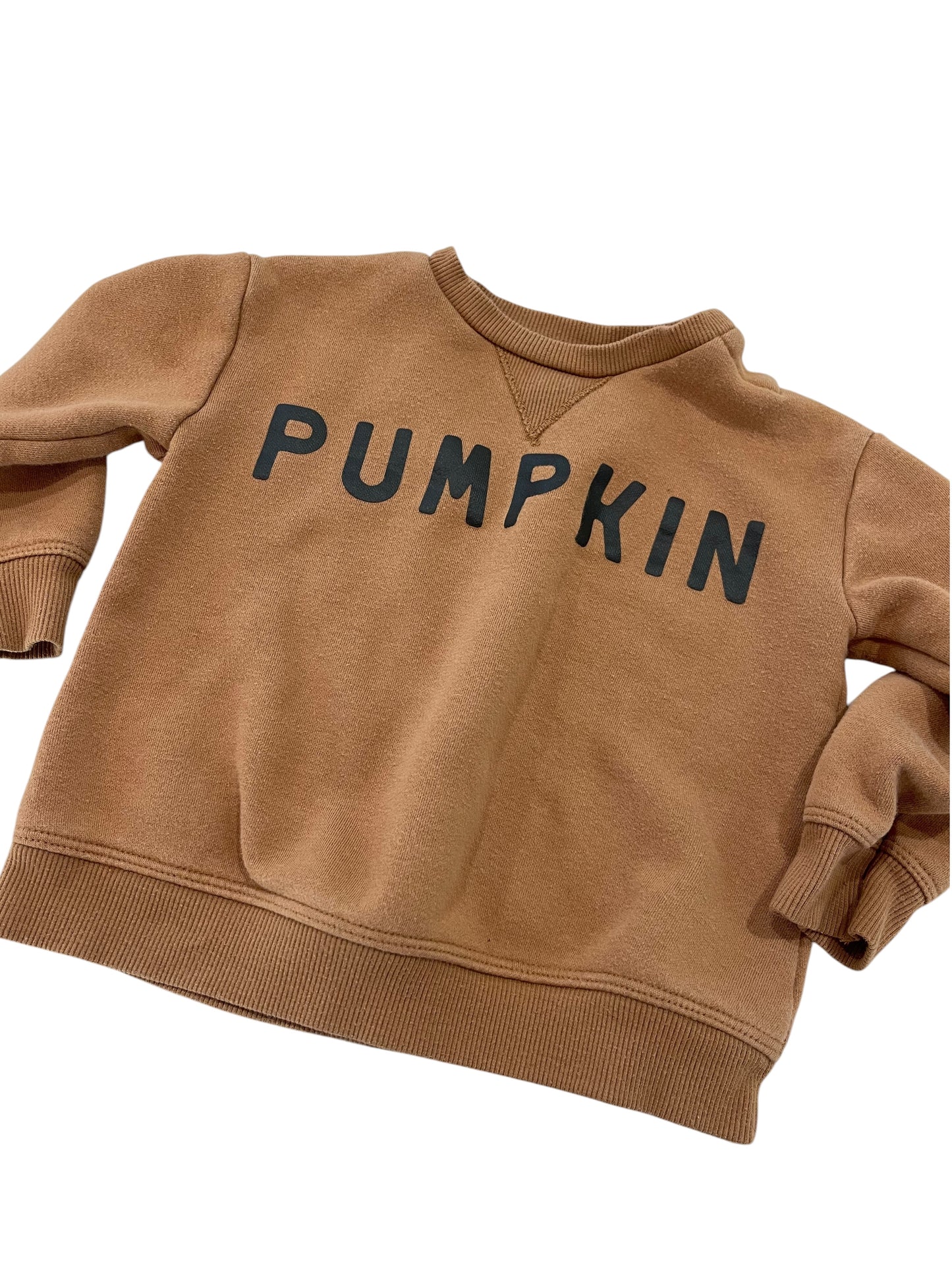 (18 mo) Infant Boy or Girl PUMPKIN Crewneck Sweatshirt