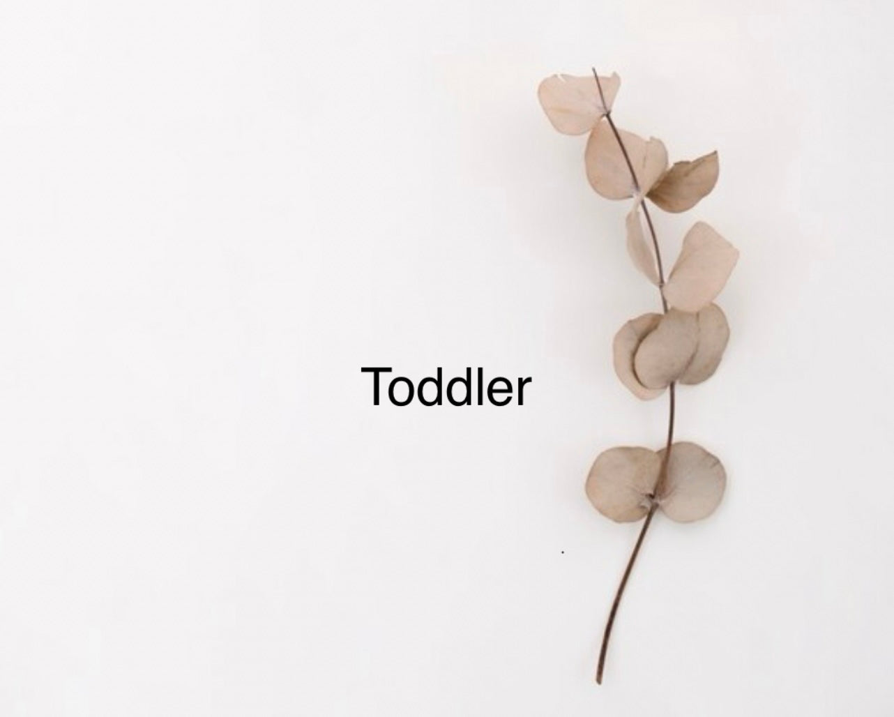 Toddler