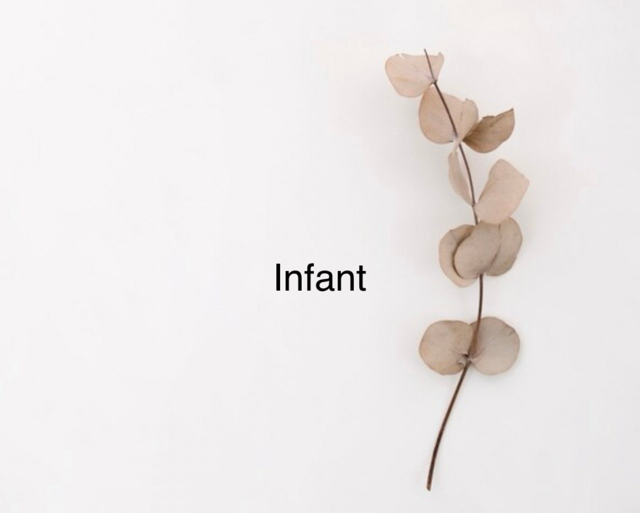 Infant