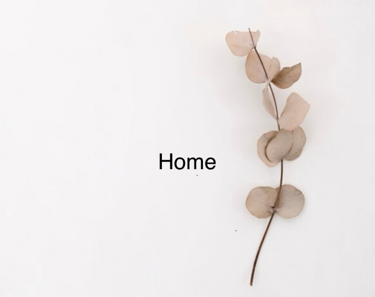 Home