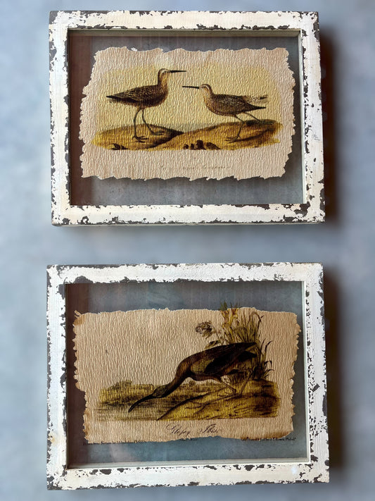 Set of 2 Framed Glass Artwork/Birds