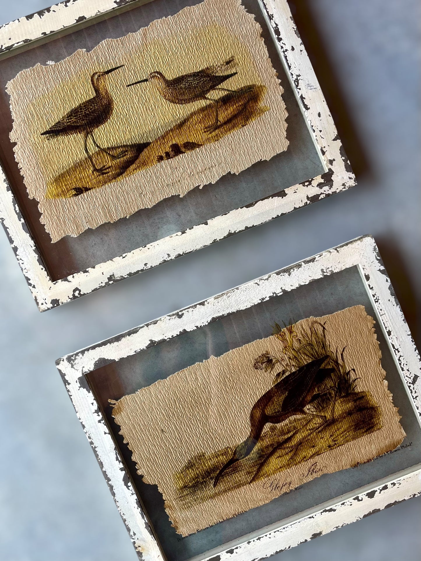 Set of 2 Framed Glass Artwork/Birds