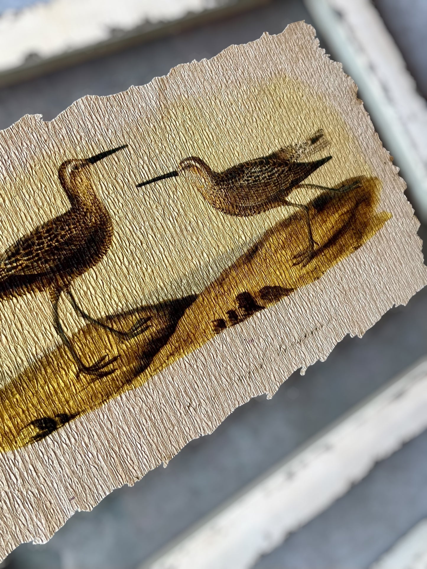 Set of 2 Framed Glass Artwork/Birds