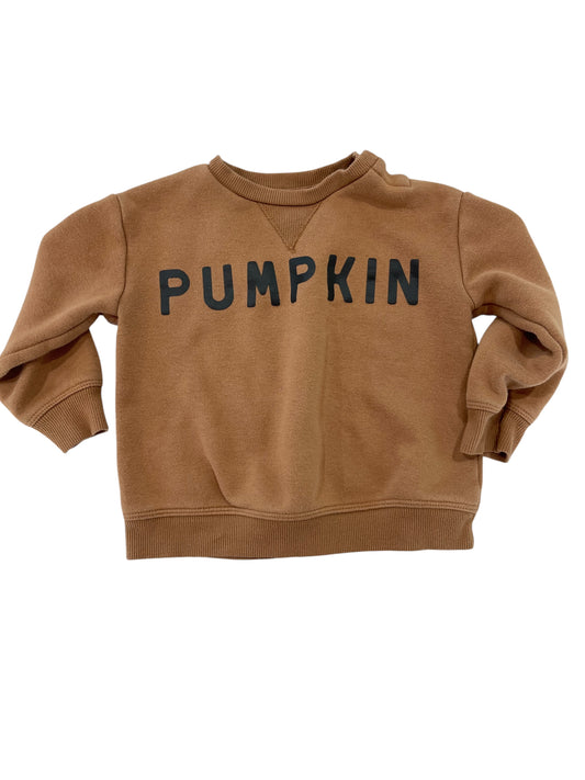 (18 mo) Infant Boy or Girl PUMPKIN Crewneck Sweatshirt (sku 0084)