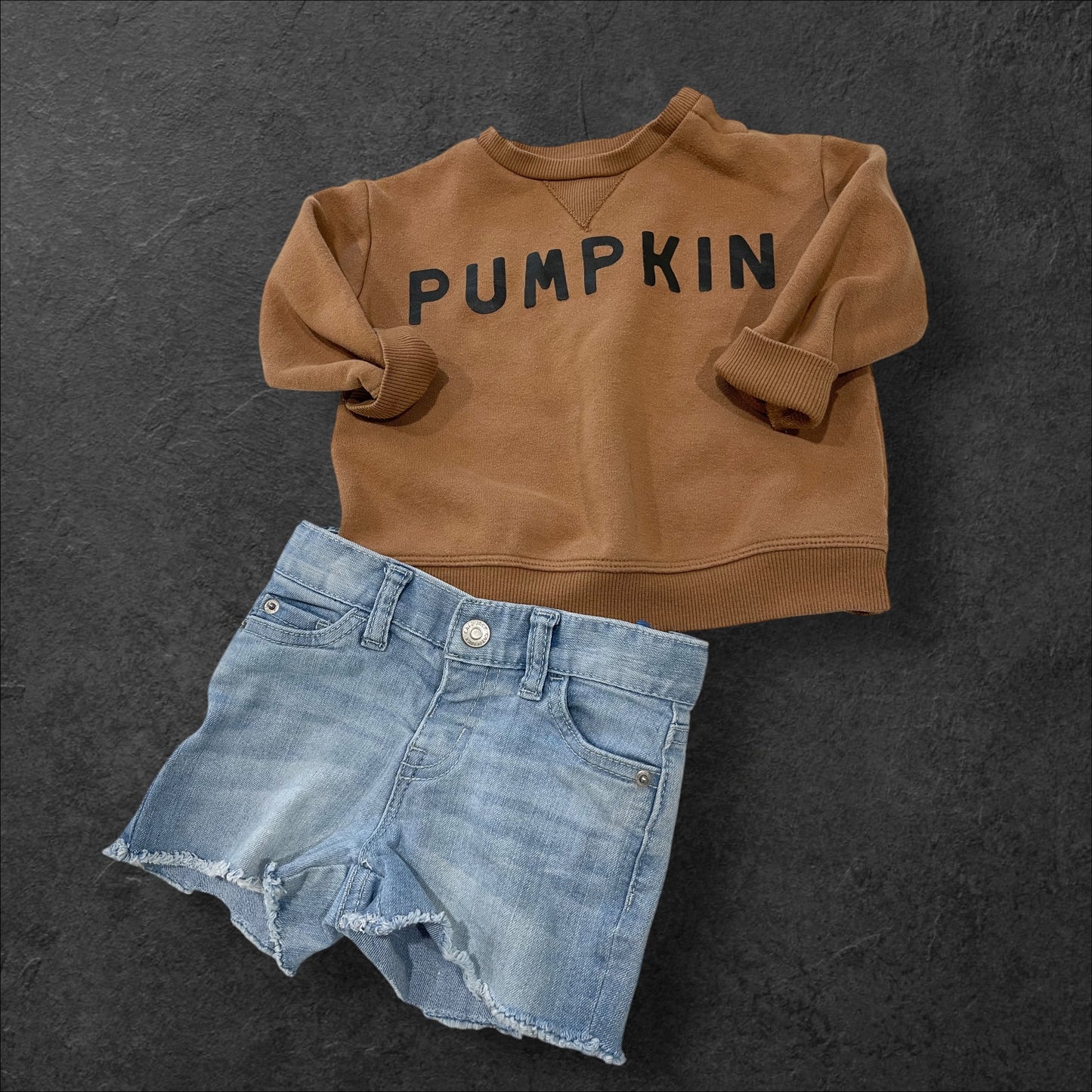 (18 mo) Infant Boy or Girl PUMPKIN Crewneck Sweatshirt (sku 0084)